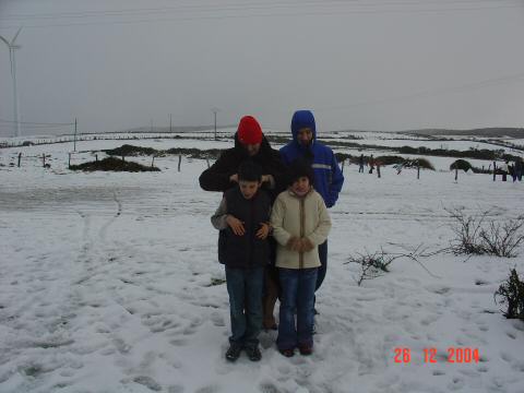 Neve en Viveiro